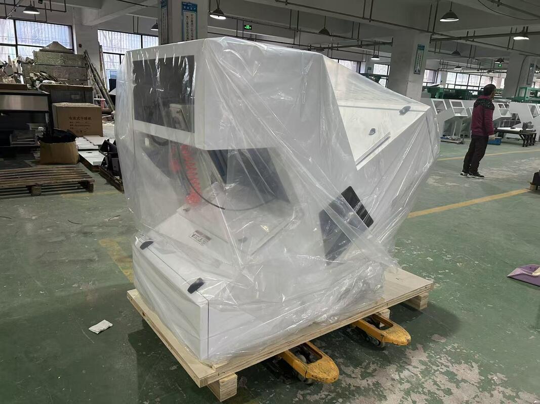 WENYAO 1 Μηχάνημα Οπτικής Διαλογής Χρώματος για Αφυδατωμένα Αποξηραμένα Κάστανα