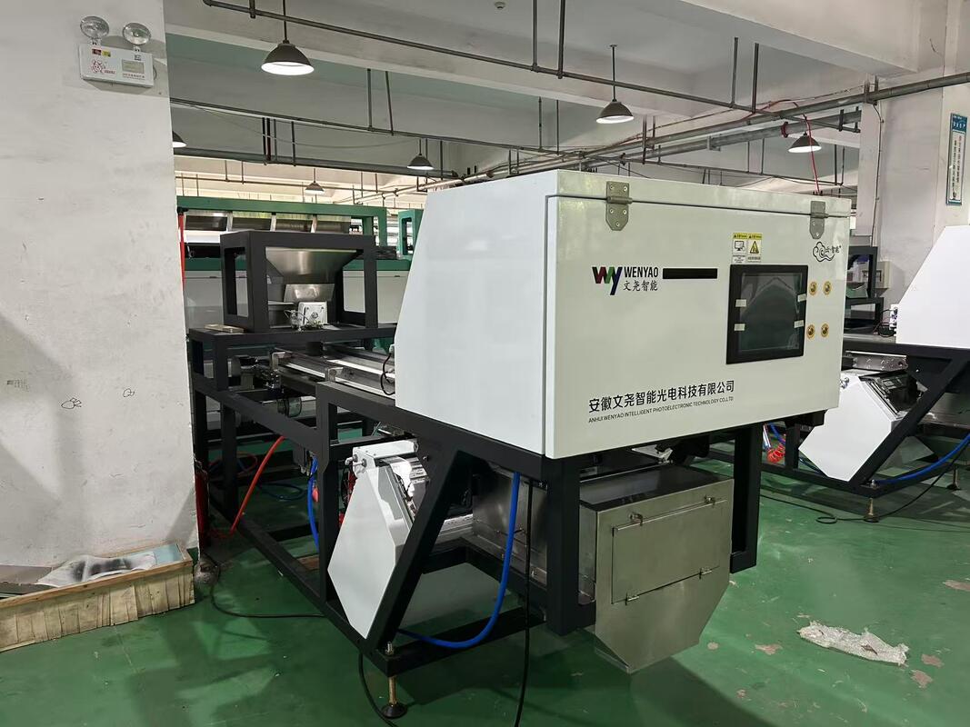 Belt Sorter Machine to Sort Unpeeled Garlic and Sorting Unpeeled Black Spots Garlic in Garlic Cleaning and Processing Line