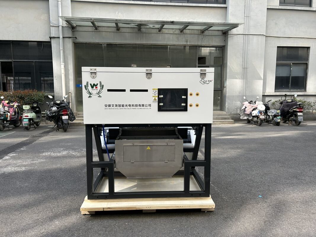 600mm πλάτος ζώνης υψηλής χωρητικότητας Juniper Color Sorter ξηρό βατόμουρο βατόμουρο κόκκινο χρώμα μηχανή διαλογής