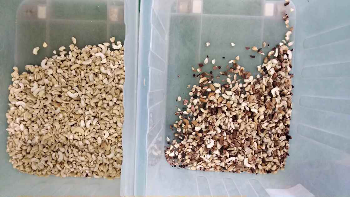 Επαγγελματική Μηχανή Διαχωρισμού Ξηρών Καρπών Wenyao, Καρυδιά Κάσιους, Καρύδι, Παραδοσιακός Καρπός Areca, Μηχανή Διαλογής Χρώματος με Τηλεχειριστήριο WIFI