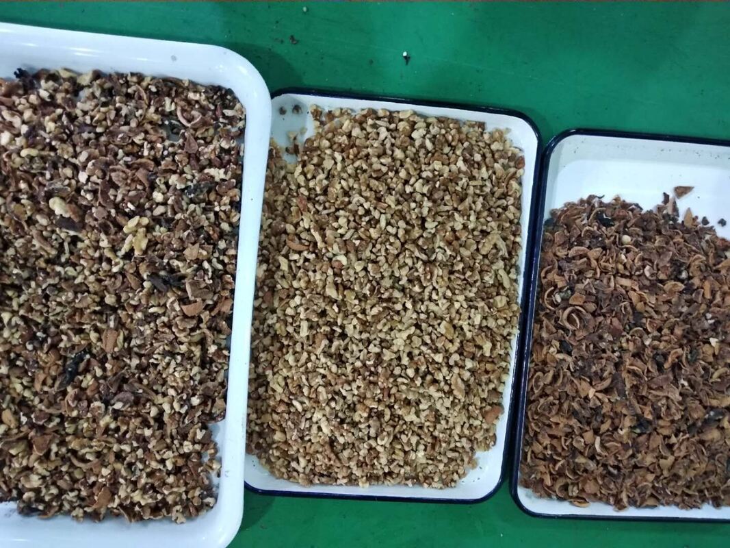 Επαγγελματική Μηχανή Διαχωρισμού Ξηρών Καρπών Wenyao, Καρυδιά Κάσιους, Καρύδι, Παραδοσιακός Καρπός Areca, Μηχανή Διαλογής Χρώματος με Τηλεχειριστήριο WIFI