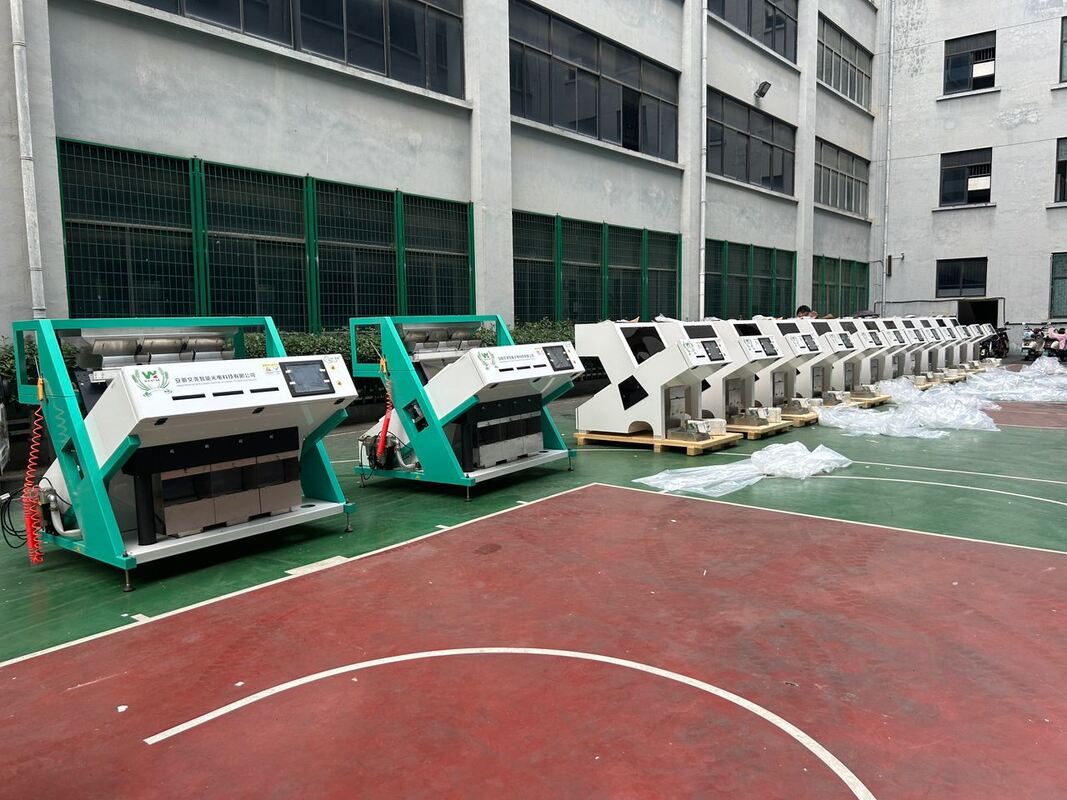 Wenyao Hot πωλήσεις οπτική διαλογή χρώματος Καφέ κόκκοι χρώμα διαλογή μηχανή