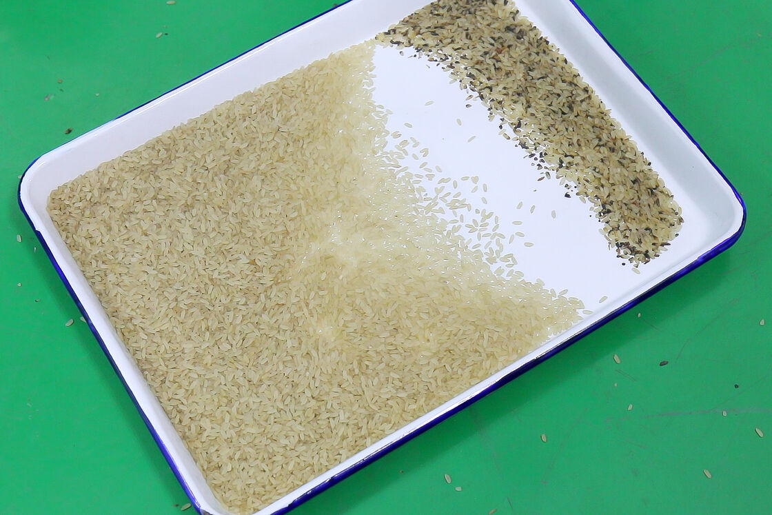 Μηχανή διαλογής χρώματος ρυζιού υψηλής ακρίβειας Wenyao Μηχανή οπτικής διαλογής για καθαρισμό σιτηρών με αεροσυμπιεστή