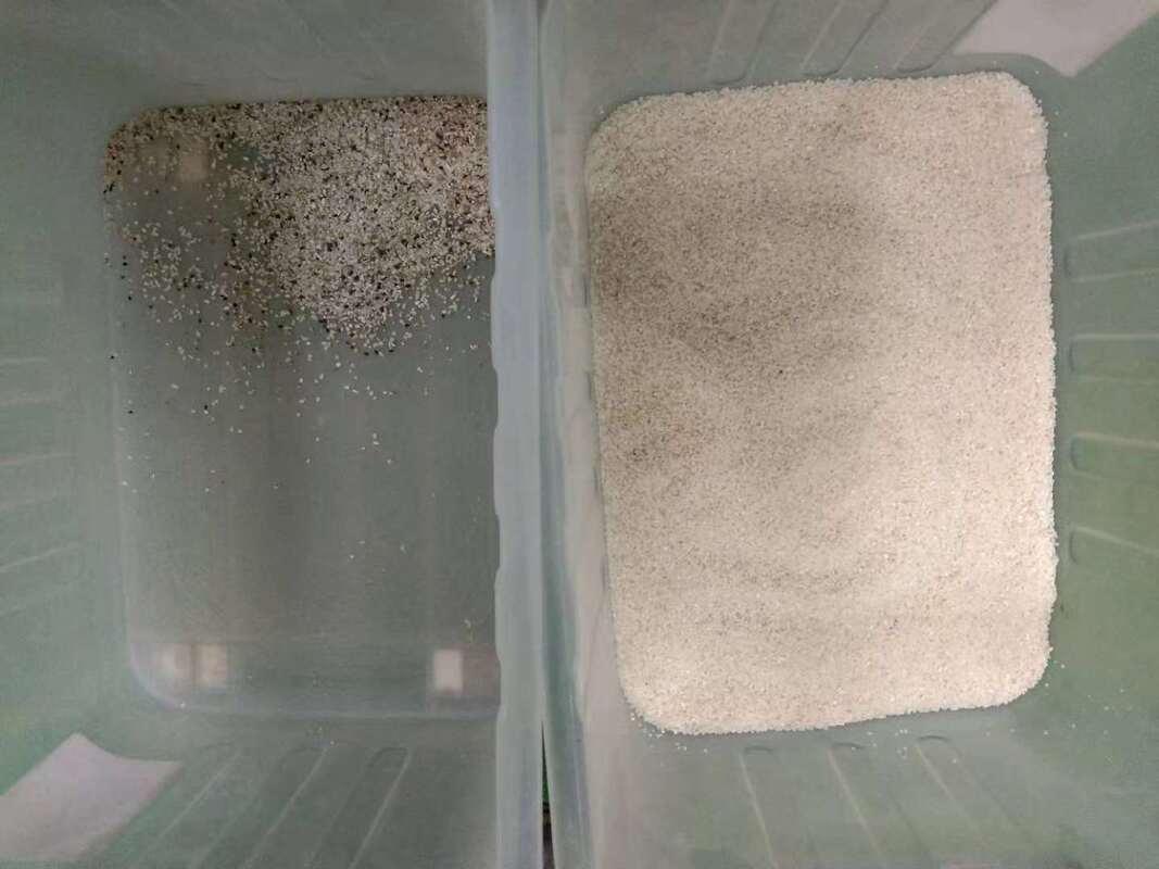 Wenyao Νέο AI μάθηση Γεωργικός διαχωριστής χρωμάτων Κινόα Συσκευή διαλογής χρωμάτων για καθαρισμό κόκκων ρυζιού Αυτοματοποιημένη οπτική διαλογή