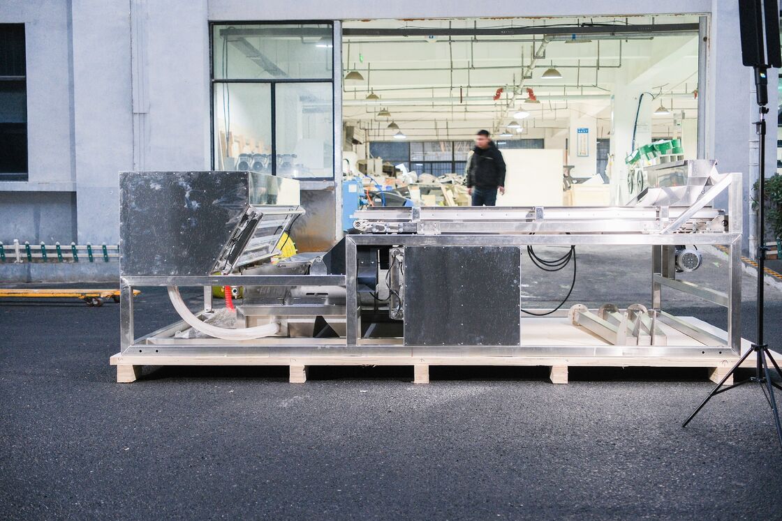 Διαλογέας χρώματος μούρων κέδρου Wenyao, φαρδύς ιμάντας, ανοξείδωτο ατσάλι, μηχανή διαλογής χρώματος βατόμουρου, φράουλας, σμέουρου, εργοστασιακή τιμή με πιστοποιητικό CE, τηλεχειριστήριο