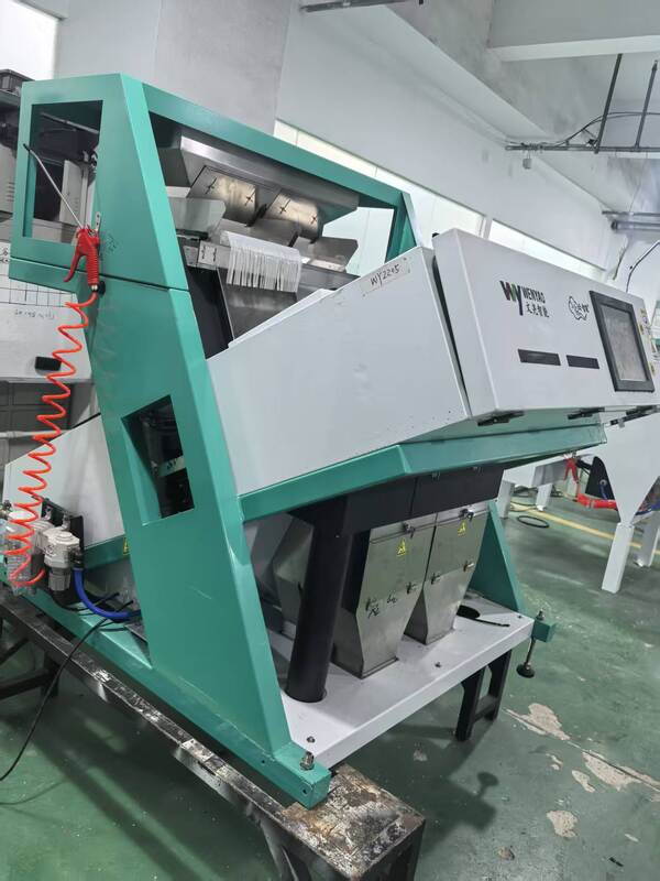 Wenyao Factory Price ρύζι Φασόλια καρύδια Σπόροι Χρώμα Τροποποιητής Μηχανή Τροποποίησης Ράις Στριβείο Μηχανή Ράις Χρώμα Τροποποιητής