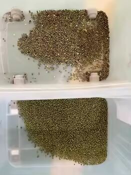 Μεγάλης χωρητικότητας οπτική διαλογή χρωμάτων για σιτηρά με ακρίβεια διαλογής ≥ 99,99% και έξοδο 4-10TPH