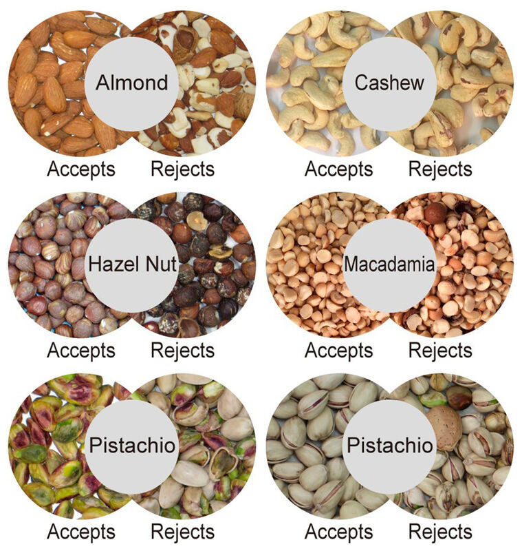 WENYAO Πλήρης ανίχνευση χρώματος υψηλή απόδοση λειτουργίας 128 καναλιών Nut Color Sorter και οπτική διαλογή