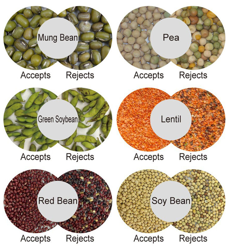 WENYAO ρυθμιζόμενες παραμέτρους 64 κανάλια υψηλής απόδοσης λειτουργίας καρύδας διαλογή χρώματος για καρύδι πεύκου