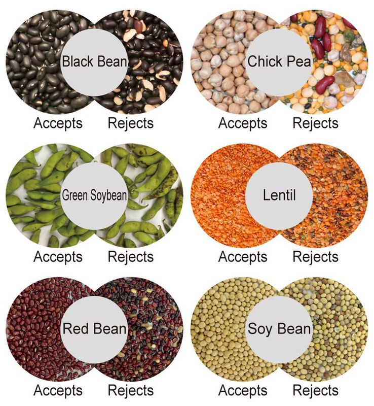 WENYAO Κάμερα CCD AI Διαλογέας Χρωμάτων Καρυδιών με Ανίχνευση Πλήρους Χρώματος, Σταθερή Λειτουργία και Ακρίβεια ≥99,99% για Καρύδια