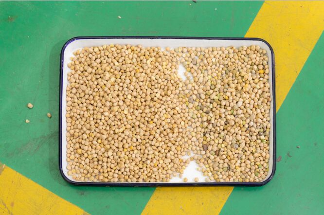 Wenyao 5 Chute Intelligent Optical Sorter Αυτοματοποιημένη συσκευή διαλογής χρώματος καρυδιού Kernel και Shell Pine Nut Color Sorter Machine