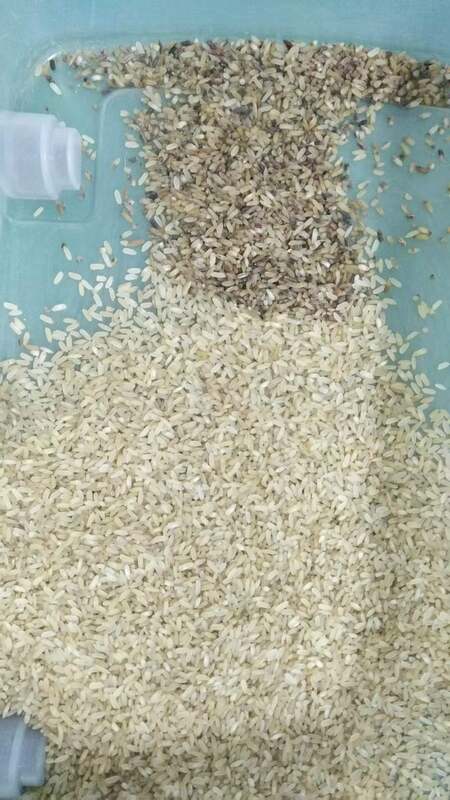 WENYAO Intelligent 4 Chutes Οπτική Σορτέτρια Χρώματος Σκότων Με υψηλή ακρίβεια και χωρητικότητα 2,-4 T / H Μηχανή Διαλογής Σίτου Ρίζι