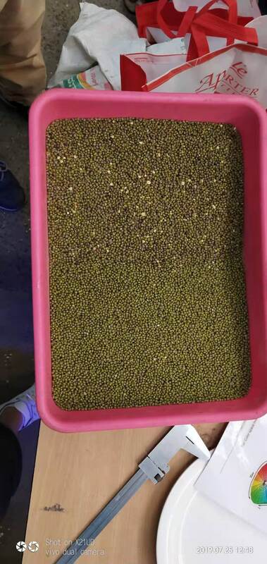 Τυποποιημένη από την CE αυτόματη συσκευή διαλογής οπτικών χρωμάτων σπόρων Μαύρα φασόλια Καφέ φασόλια Λεσίδες Μηχανή διαλογής χρωμάτων για πώληση 2026