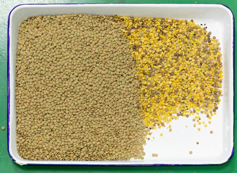 99.99% High Precision CCD Grain Optical Color Sorter Rice Beans Color Separator with 5 Channels