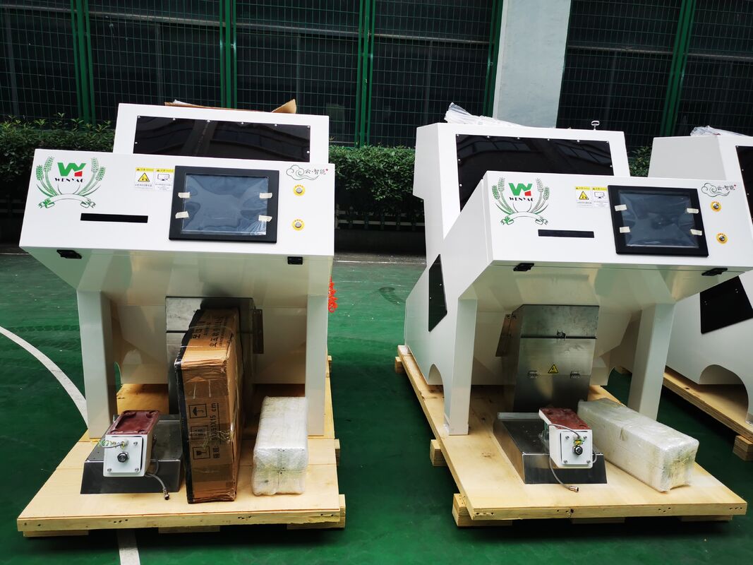 Wenyao Color Sorter for Pumpkin Cashew Peanut Almond Shape Sorter Optical Sorting Machine for Nuts Seeds China Cleaning Equipment