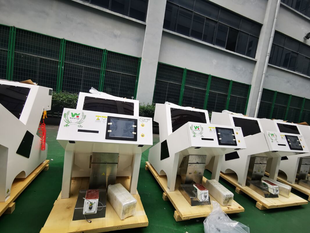Wenyao Color Sorter for Pumpkin Cashew Peanut Almond Shape Sorter Optical Sorting Machine for Nuts Seeds China Cleaning Equipment