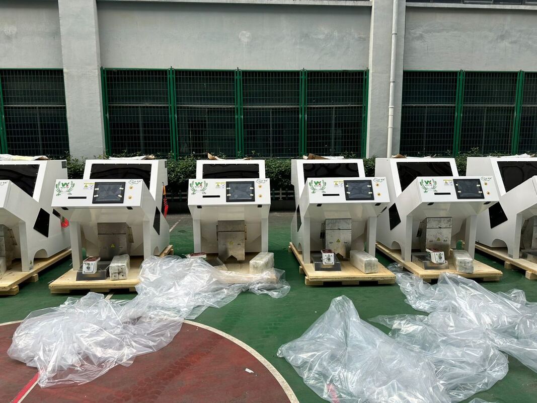 Wenyao Color Sorter for Pumpkin Cashew Peanut Almond Shape Sorter Optical Sorting Machine for Nuts Seeds China Cleaning Equipment