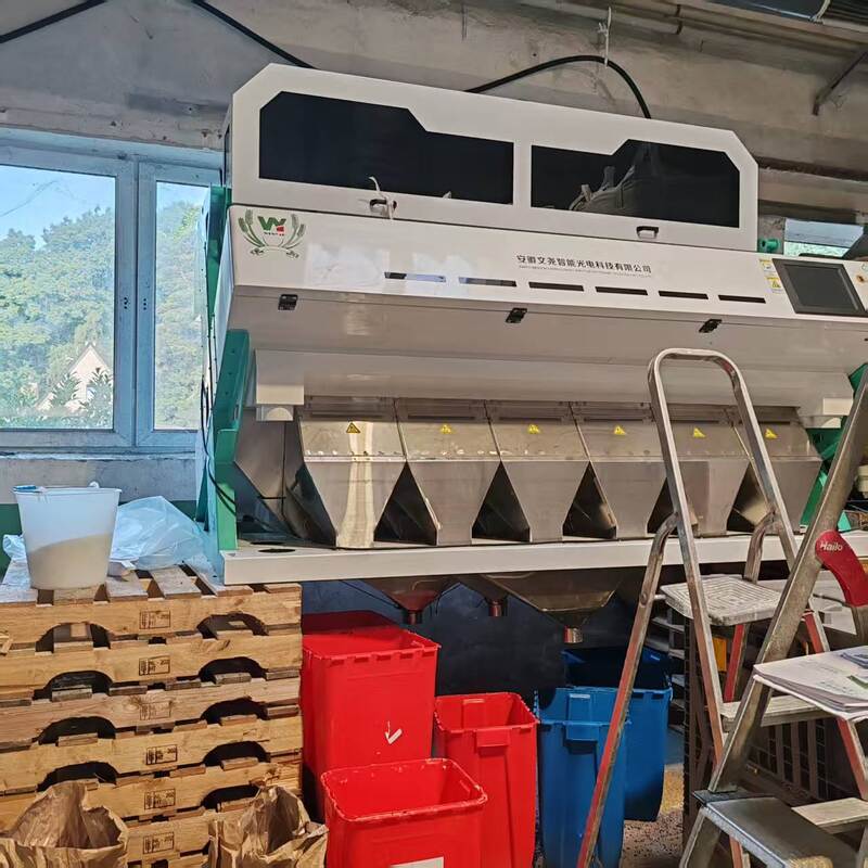 Wenyao AI  Optical Sorting Machine for Nuts Seeds Pumpkin Cashew Almond Peanut Shape Sorter Color Sorter