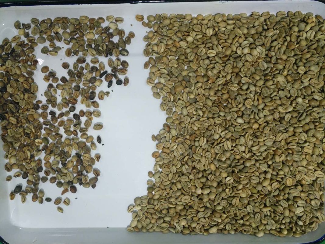 4 υδατοπτώσεις 256 μηχανή διαλογέων χρώματος καφέ καναλιών για τον τηλεχειρισμό Wifi φασολιών