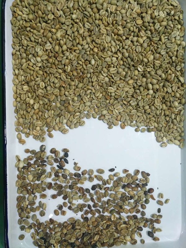 4 υδατοπτώσεις 256 μηχανή διαλογέων χρώματος καφέ καναλιών για τον τηλεχειρισμό Wifi φασολιών