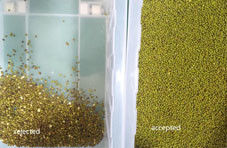 Σογιές Φασόλια Χρώμα Συναρμολογητής Pules Συναρμολογητής Μηχανή Διαλογής Πράσινο Φασόλι Μαύρο Σοχούμ Σπόροι Εξοπλισμός καθαρισμού