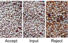 Σογιές Φασόλια Χρώμα Συναρμολογητής Pules Συναρμολογητής Μηχανή Διαλογής Πράσινο Φασόλι Μαύρο Σοχούμ Σπόροι Εξοπλισμός καθαρισμού