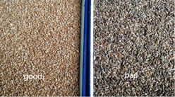 WENYAO Led Light Wheat Color Sorter Χαμηλή κατανάλωση ενέργειας Διαχωριστής σιτηρών