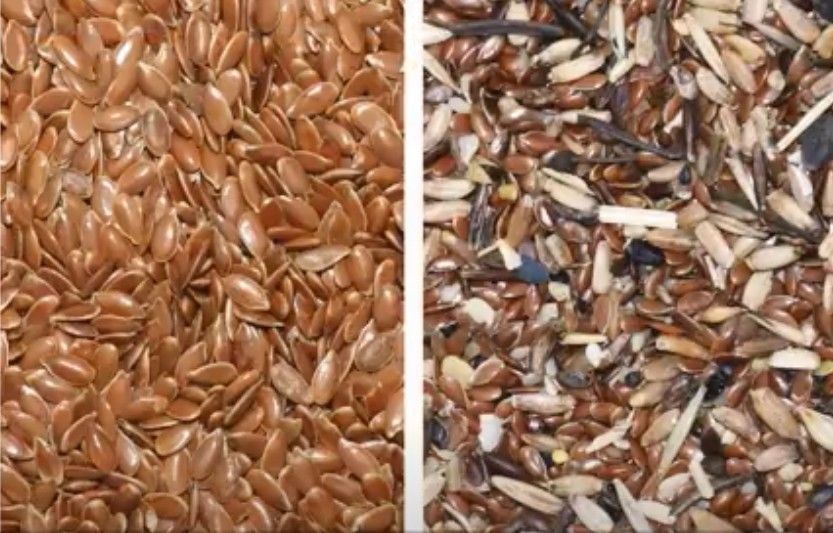 WENYAO 300-500 kg Μηχανή επιλογής σπόρων Ψηφιακή οπτική μικροχρωματική μηχανή διαλογής σπόρων κρεμμύδι προς πώληση