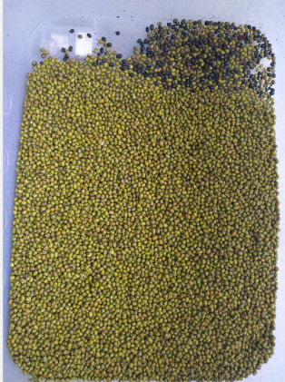 Πλήρως αυτόματη μηχανή διαλογής χρώματος σόγιας / κόκκινου φασόλιου / μουνγκ φασόλιου / καφέ