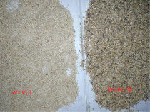 WENYAO Seed Color Sorter με 5400 Pixel CCD και 99% ακρίβεια