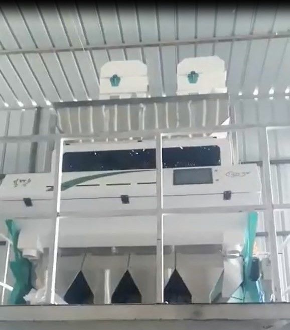 Δημητριακά 4 διαλογέας Toshiba CCD 2t/h γεωργικών μηχανημάτων χρώματος σιταριού υδατοπτώσεων