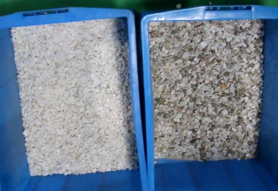 Πιο πρόσφατο μοντέλο Pistachio Cashew Walnut Color Sorter Ελλάδα Pistachio Nuts Color Sorter