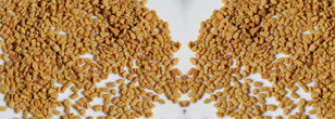 Fenugreek Fenugreek διαλογέων χρώματος σπόρων Fenugreek μηχανών επεξεργασίας σπόρου ταξινομώντας μηχανή χρώματος σπόρων