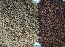 Διαλογέας χρώματος ξύλων καρυδιάς εξοπλισμού επεξεργασίας ξύλων καρυδιάς ταξινομώντας μηχανών χρώματος ξύλων καρυδιάς διαχωριστών της Shell ξύλων καρυδιάς