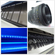 Macadamia Macadamia διαλογέων χρώματος καρυδιών Macadamia διαχωριστών ταξινομώντας βαθμολογώντας μηχανή καρυδιών