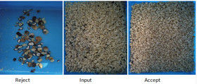 2025 Ζεστή πώληση Factory Price CCD Color Nut Sorter Συσκευή διαχωρισμού καρύδων Μακαδάμια με CE