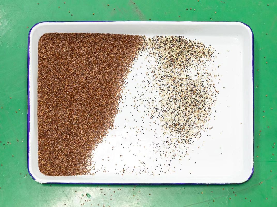 Quinoa μηχανές διαλογέων χρώματος 128 κανάλια 2 έτη εξουσιοδότησης