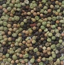 Chickpea Wenyao 220V 50Hz φως των χαμηλών οδηγήσεων θερμοκρασίας διαλογέων χρώματος