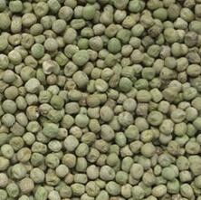 Chickpea Wenyao 220V 50Hz φως των χαμηλών οδηγήσεων θερμοκρασίας διαλογέων χρώματος