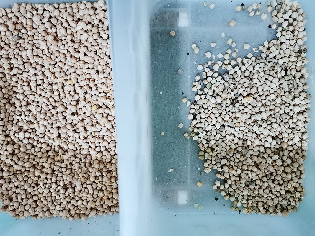 Chickpea Wenyao 220V 50Hz φως των χαμηλών οδηγήσεων θερμοκρασίας διαλογέων χρώματος
