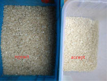Νέο λογισμικό Ιμαλάια Αλάτι Color Sorter Μηχανή για την αφαίρεση σκούρο κίτρινο ξένες ουσίες