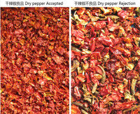 Wenyao Chute Τύπος AI Διανοητικός ξηρός τσίλι Διαλογή Κόκκινο τσίλι Διαχωρισμός Αυτοκαθαριστική λειτουργία Διαλογή χρωμάτων