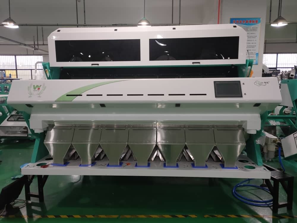 Οπτικός RGB διαλογέας 7000kg/h χρώματος σίτου με δύο κάμερες CCD