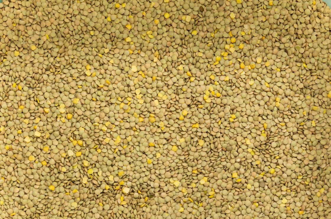 ChickPeas φακών RGB αυτόματος υπολογισμός μηχανών διαλογέων χρώματος