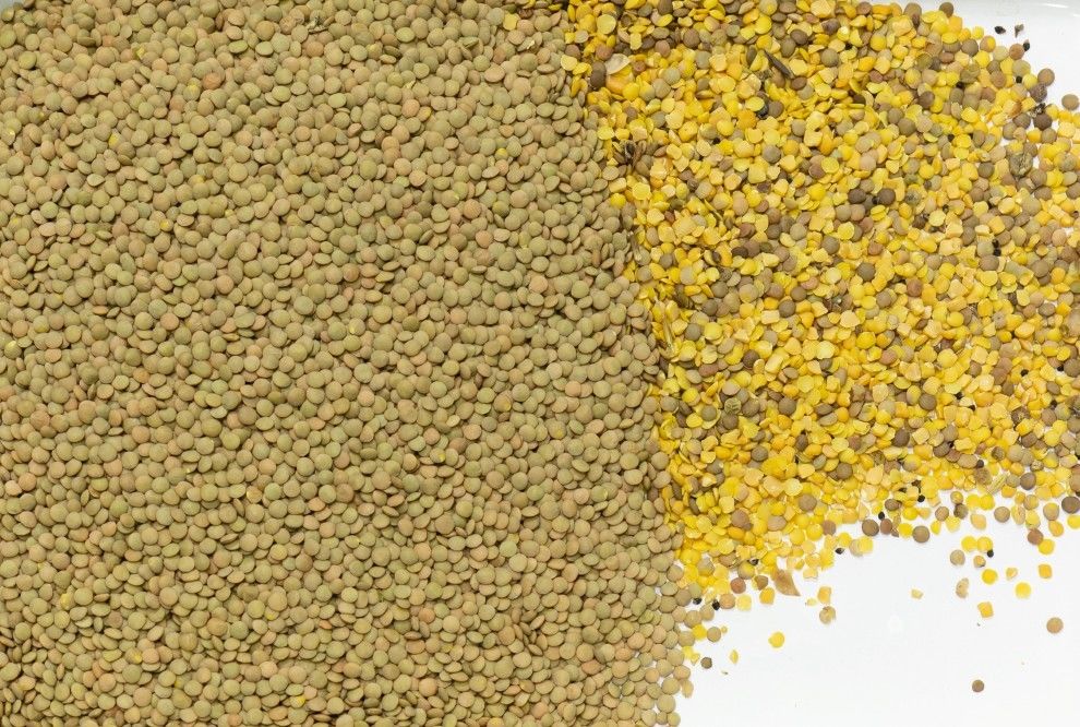ChickPeas φακών RGB αυτόματος υπολογισμός μηχανών διαλογέων χρώματος