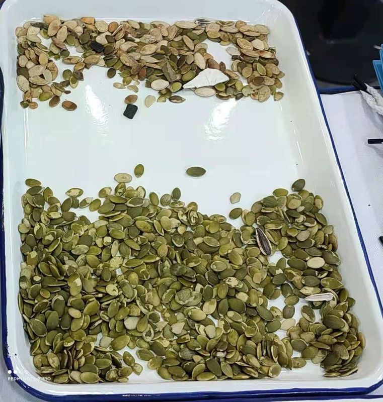 Wenyao υψηλής χωρητικότητας 1000kg CCD μηχανή διαλογής χρώματος σπόρων κέλινου διαλογή χρώματος σπόρων μαϊντανιού
