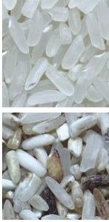 Εύκολο στη λειτουργία μηχανή διαλογής χρώματος καφέ με ανοξείδωτο 304 τροφικό hopper