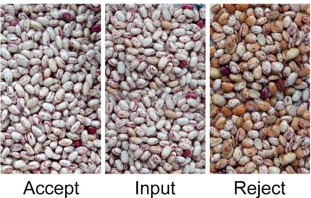 Αυτόματος διαλογέας χρώματος φασολιών CCD RGB