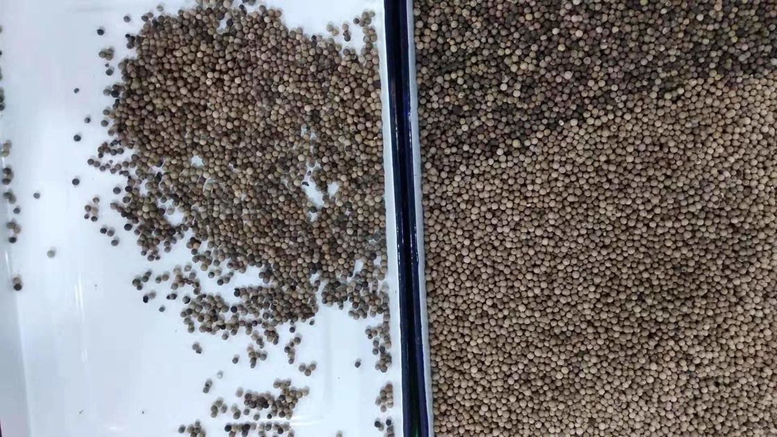 5 υψηλή ακρίβεια 5000kg/H διαλογέων χρώματος σπόρου σουσαμιού υδατοπτώσεων