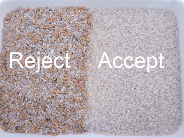 Ευφυής υψηλή ικανότητα μηχανών διαλογέων χρώματος ρυζιού καμερών CCD